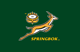 My 2025 Take on Springbok Casino: A South African’s Perspective